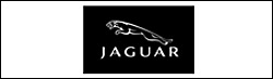 �W���K�[�i�iAGUAR�j�V�ԏ��